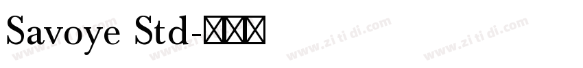 Savoye Std字体转换